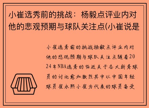 小崔选秀前的挑战：杨毅点评业内对他的悲观预期与球队关注点(小崔说是)